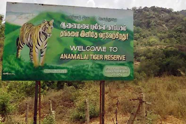 Tamil Nadu: Anamalai Tiger Reserve launched 'jumbo trails' in Coimbatore