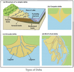 Deltas - Formation, Evolution, Types, Significance, Issues, Examples | UPSC