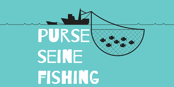 Overfishing Definition & Image | GameSmartz