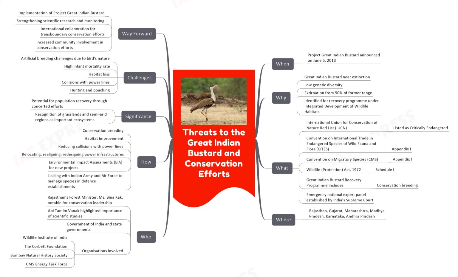 Threats To The Great Indian Bustard And Conservation Efforts UPSC   Threats To The Great Indian Bustard And Conservation Efforts 1536x930 